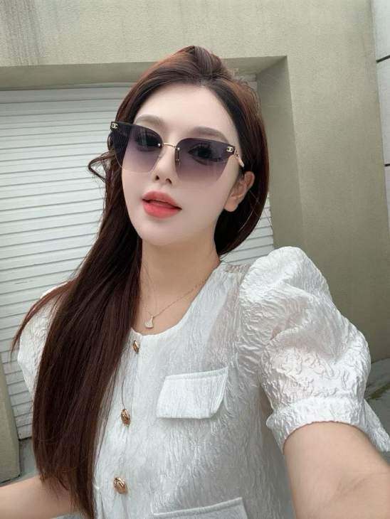 Picture of Chanel Sunglasses _SKUfw77817331fw